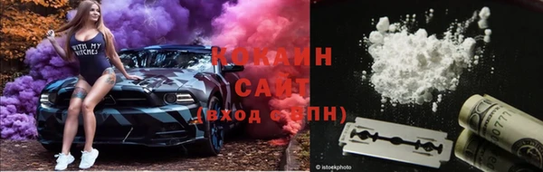гашик Аркадак