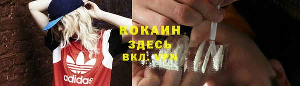 гашик Аркадак
