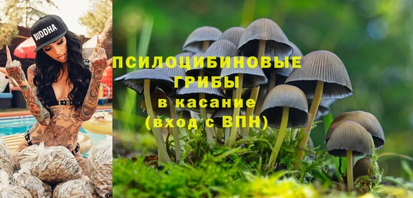 гашик Аркадак