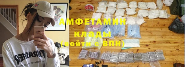 гашик Аркадак