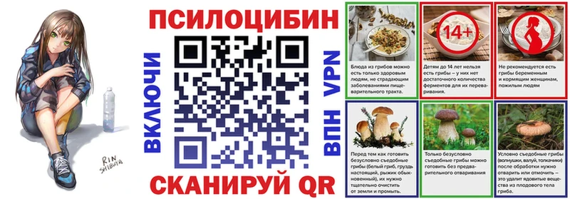Галлюциногенные грибы Psilocybine cubensis  Кулебаки 